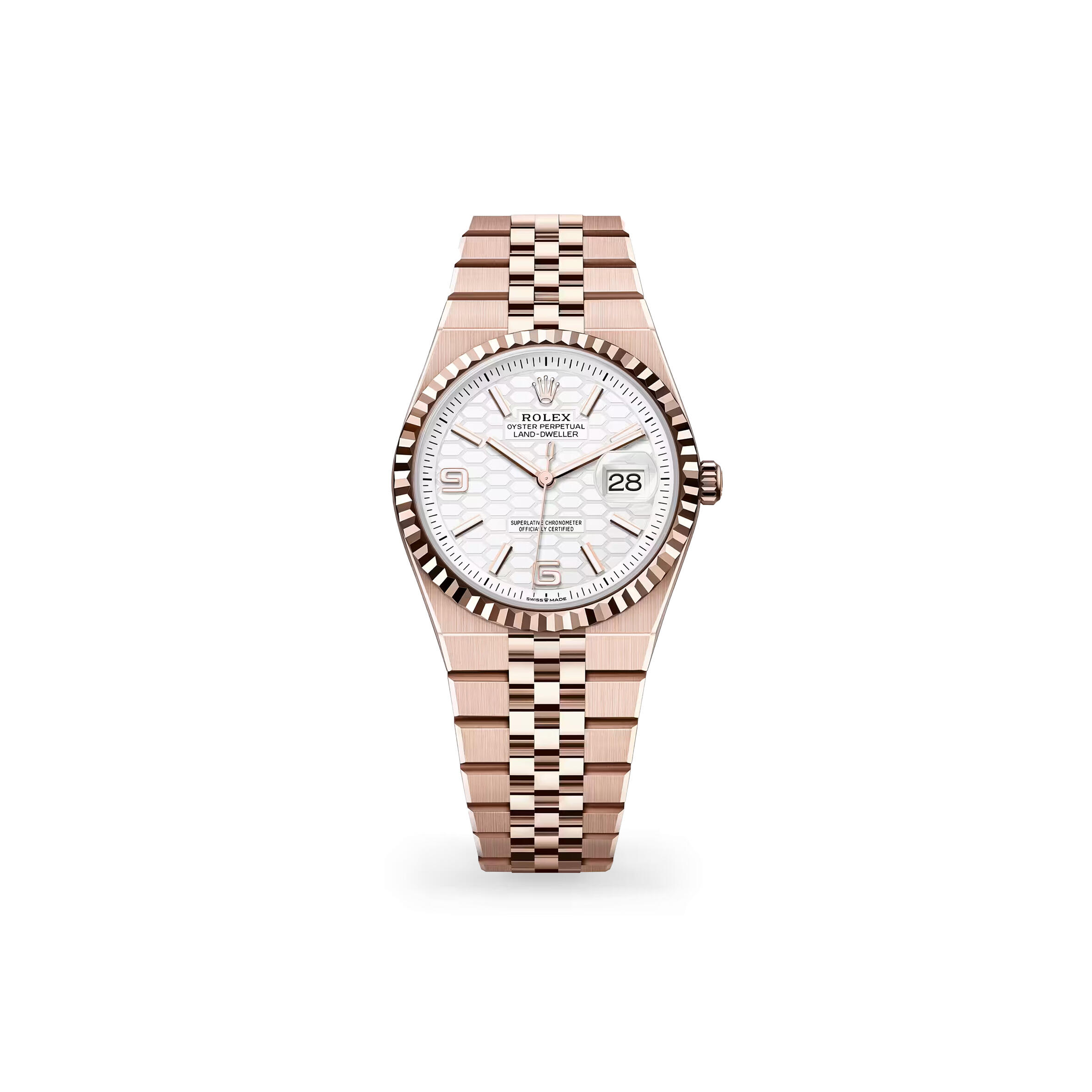 R01ex land-dweller 36 oyster, 36 mm, everose gold 127235